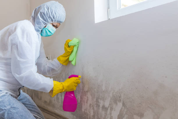 Best Commercial Mold Inspection  in Claremont, NH